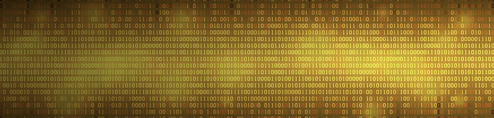 Standaard- vs. Maatwerksoftware