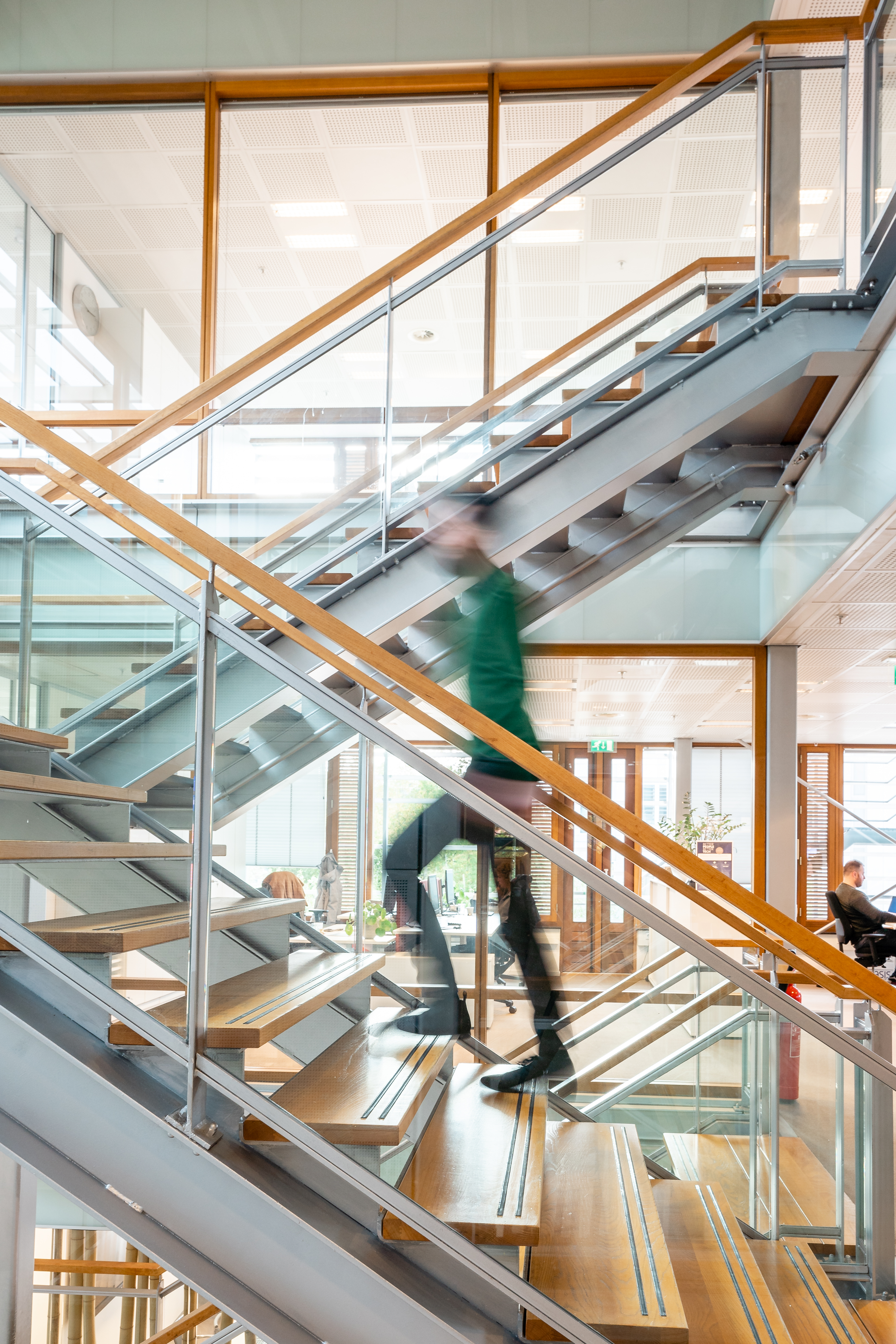 Roblipsiusxgaransys 0080